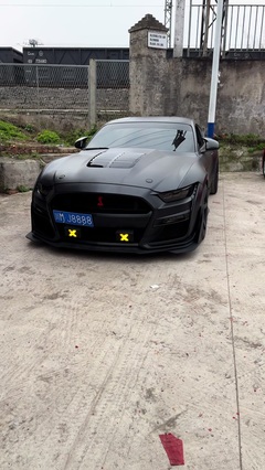 爽哥與黑帥 汽車人的速度與激情
